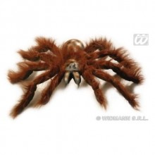 KAHVERENGİ TARANTULA (60 CM)