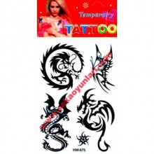 GEÇİCİ VUCUT DÖGMELERİ