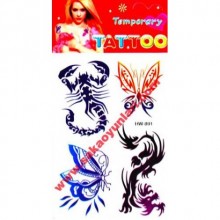 GEÇİCİ VUCUT DÖVMELERİ