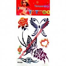 GEÇİCİ VUCUT DÖVMELERİ