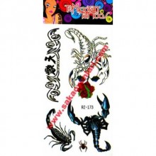 GEÇİCİ VUCUT DÖVMELERİ