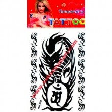 GEÇİCİ VUCUT DÖVMELERİ