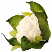 KARNABAHAR (16 X 12 CM )