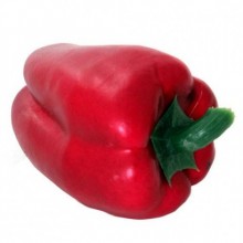 DOLMA BİBER ( 12 CM )