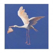 PEMBE LEYLEK VE BEBEK ( 15 CM )