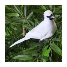 DEKORATİF KUŞ ( 17CM )