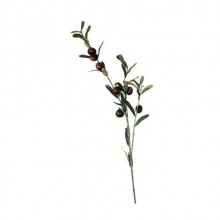 ZEYTİN DALI ( 84 CM )