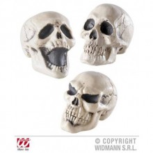 KURUKAFA ( 1 ADEDİ ) ( 12 CM )