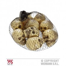 KURU KAFA ( 9 ADET )