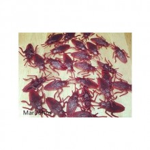 HAMAM BÖCEKLERİ :( 10 ADET )