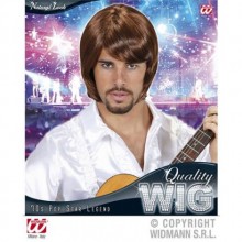 70 YIL POP STAR ERKEK PERUK