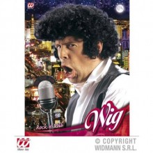 ROCK N ROLL ERKEK PERUK