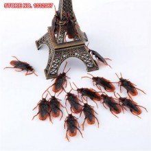 6 ADET HAMAM BÖCEGİ