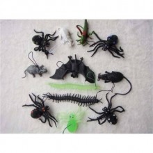 10 ÇEŞİT MUHTELİF HAYVANLAR