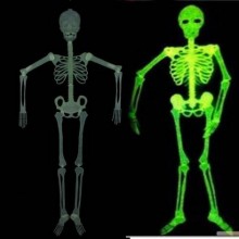 FOSFORLU İSKELET ( 125 CM )