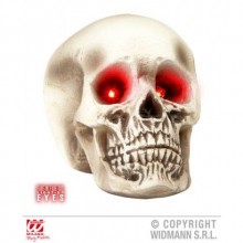 KURU KAFA IŞIKLI ( 22 CM )