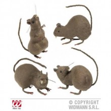 4 ADET DEGİŞİK FARE (1 adet fiatı )