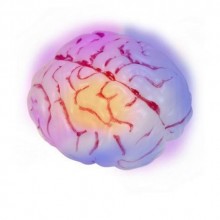 4 RENKLİ IŞIKLI BEYİN