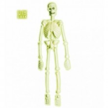 LABORATUVAR İSKELET ( 92 CM )