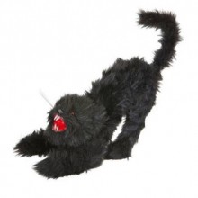 SENSÖRLÜ GÖZLERİ YANAN MİYAVLAYAN KEDİ