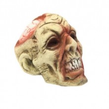 KURU KAFA ( 4 RENK IŞIKLI BEYİNLİ )