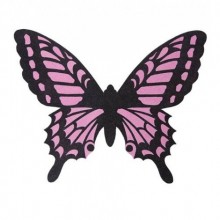 PERİ KANADI ( 60 X 48 CM )