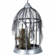 KAFESTE KILLI FARE ( 32 cm )