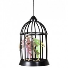 KAFESTE KARGA İSKELETİ