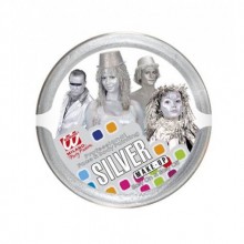 METALİK GÜMÜŞ RENGİ MAKYAJ BOYASI (25 ml )