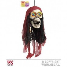 5 RENK IŞIKLI KURU KAFA