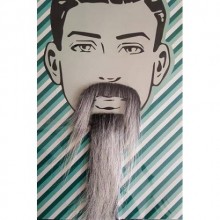 Takma Sakal Gri ve Bıyk