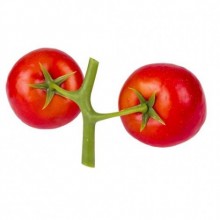 DOMATES SALKIM İKİLİ 13X6,5X8 CM. (SEBZE 5,5 CM.