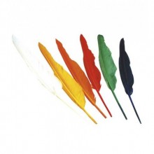 12 li RENK KIZILDERLİ TÜY