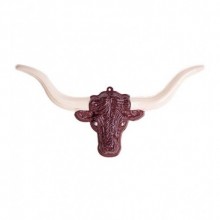 PLASTİK ÖKÜZ KAFASI