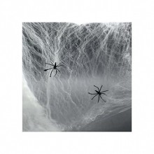 Örümcek ve Ağ Seti ( 60 gr )