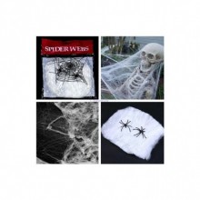 Örümcek ve Ağ Seti ( 20 gr )