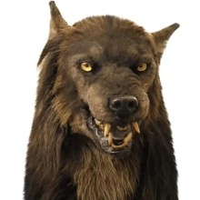 LATEX GERÇEKÇİ KURT MASKESİ