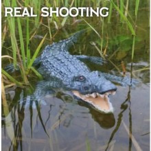 Kumandalı Yüzen Timsah ( 35 cm )