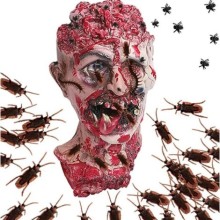 PVS Kaliteli Hamam Böceği ( 5 Adet )