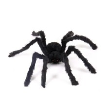 Tüylü Örümcek ( 75 cm )