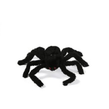 Tüylü Örümcek ( 30 cm )