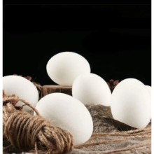 Sünger Yumurta ( 1 Adet )