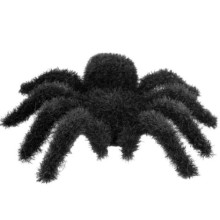 Tüylü Siyah Örümcek ( 12x10 cm )