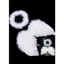 Bebek Melek Kanadı ve Hare