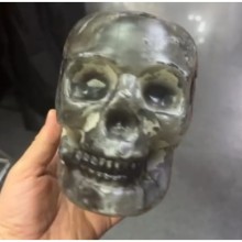 Plastik Kuru Kafa (17x15x13 cm)