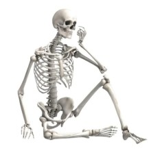 İskelet ( 78 cm )