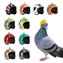 Güvercin Kaskı ( 1 Adet )