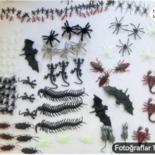 100 adet  Bōcek Cesiti