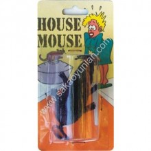 ŞAKA MALZEMESİ EV FARESİ
