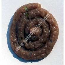 YUMUŞAK İNSAN PİSLİĞİ